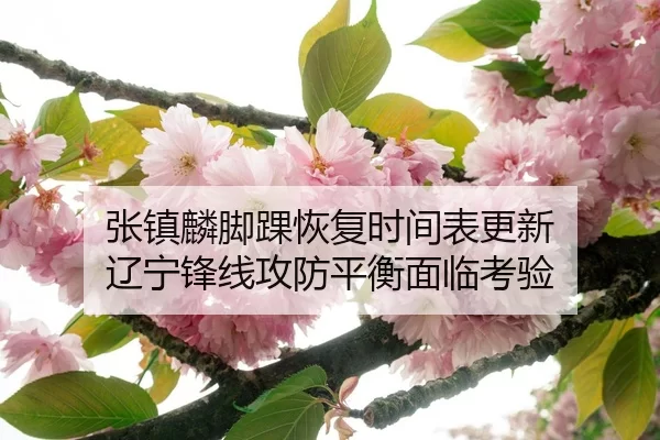 张镇麟脚踝恢复时间表更新 辽宁锋线攻防平衡面临考验