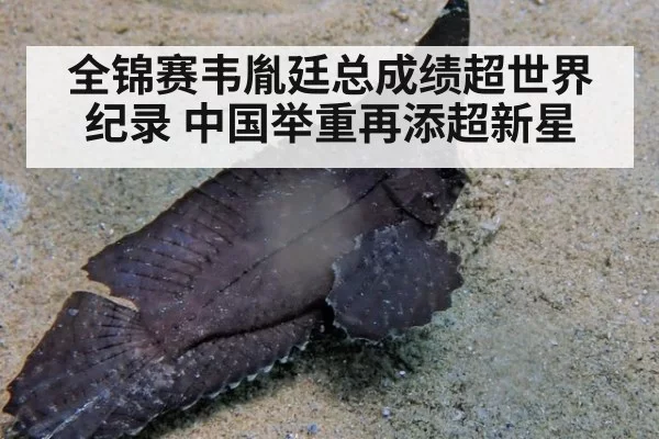 全锦赛韦胤廷总成绩超世界纪录 中国举重再添超新星